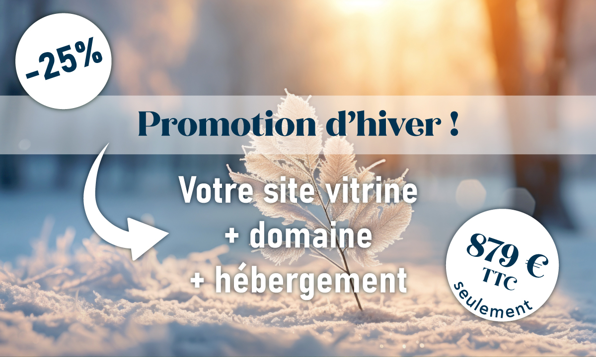 Promotion Hiver 2024 - Votre site vitrine à seulement 879€ TTC !