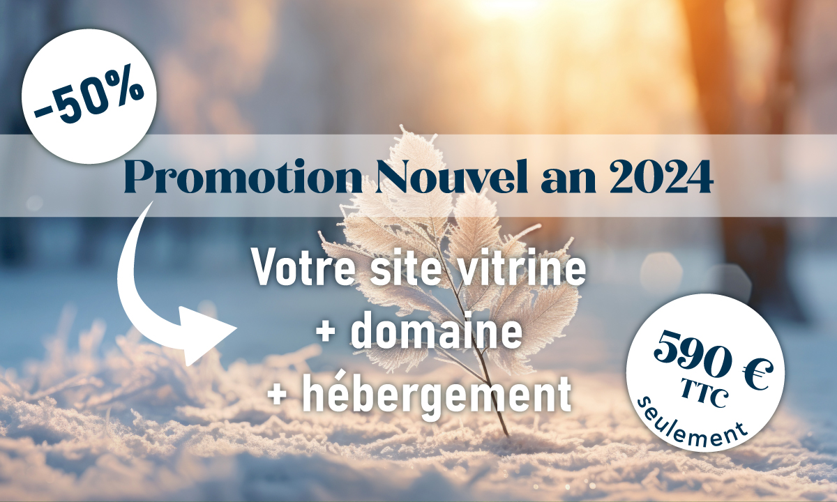 Promotion Nouvel An 2024 - Votre site vitrine à seulement 590€ TTC !