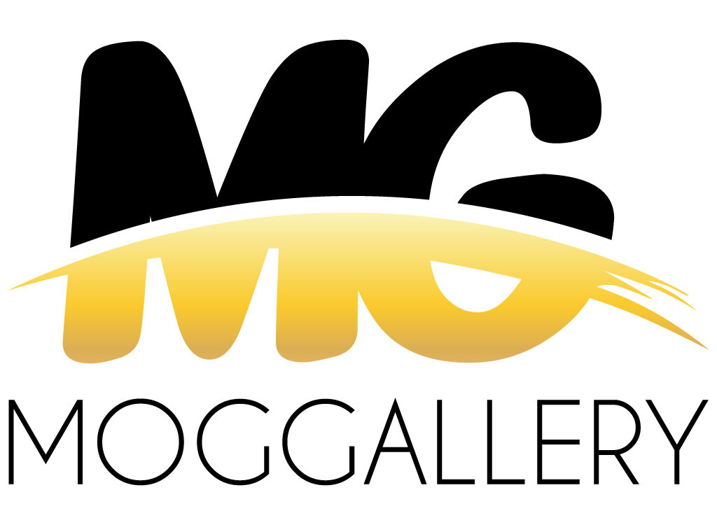 Logo Moggallery après refonte avec monogramme MG et identité visuelle modernisée