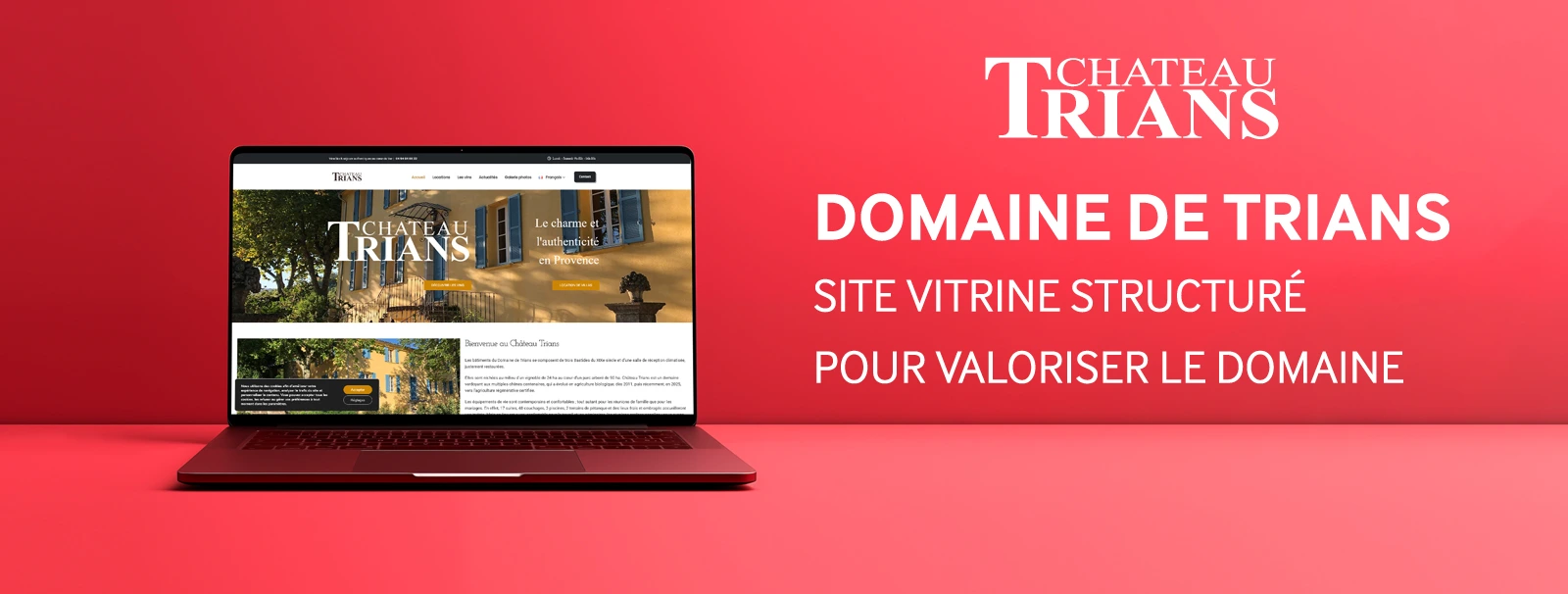 Création de site vitrine professionnel : exemple de site clair, responsive et orienté conversion
